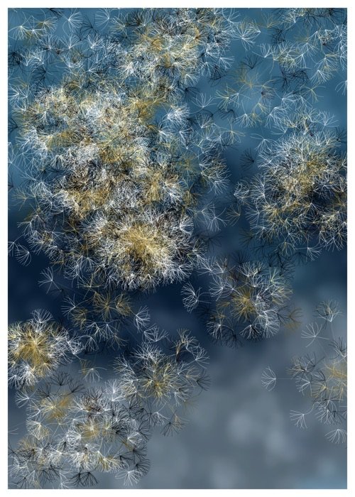 Seeds, image 2