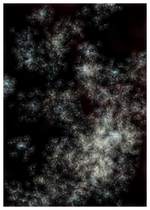 Seeds, image 3