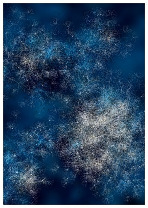 Seeds, image 5